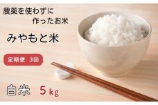 【定期便3回】農薬を使わずに作ったお米　みやもと米（白米）　5kg