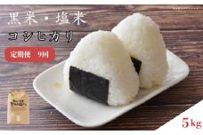 【定期便9回】黒米・塩米（コシヒカリ） 約5kg ／ お米 精米 こしひかり 千葉県
