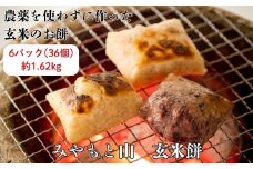 （2025年1～6月発送）農薬を使わずに作った玄米100％の玄米餅　6パック