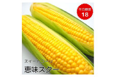 《先行予約》朝採り とうもろこし スイートコーン「恵味スター」5kg（10～13本）