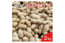 《先行予約》生落花生　おおまさり　2kg ／ おおまさり 落花生 生落花生 2kg 千葉県産