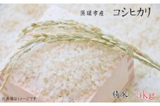 匝瑳市産　コシヒカリ　精米　5kg ／ 米 こめ コメ お米 ごはん コシヒカリ 精米 白米 5kg ちばエコ農産物 産地直送