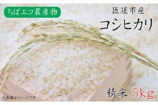令和7年産　コシヒカリ　精米　5kg ／ 米 こめ コメ お米 ごはん コシヒカリ 精米 白米 5kg ちばエコ ちばエコ農産物 産地直送