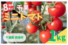 ミニトマト （ 千果 ) 1kg ／ ミニトマト トマト フルーツトマト 千果 野菜