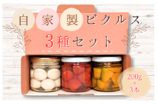 メルカドレグメス　ピクルス　3種セット ／ ピクルス ミニトマト うずらの卵 旬の野菜 自家製 セット 詰め合わせ
