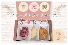 メルカドレグメス　フリーズドライフルーツ　3種セット ／ フリーズドライフルーツ フリーズドライ フルーツ 果物 くだもの いちご イチゴ 苺 柿 かき カキ りんご リンゴ 林檎 バナナ 自家製 セット 詰め合わせ