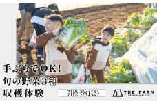 手ぶらでOK!THE FARMの旬の野菜収穫体験引換券(1袋) KTRC010