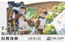 手ぶらでOK!THE FARMの旬の野菜収穫体験引換券(1袋) KTRC010