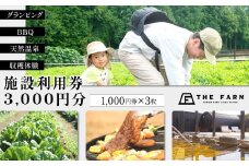 BBQやキャンプなども楽しめる複合施設 THE FARM利用券　3,000円分 KTRC006
