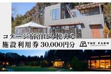 コテージ宿泊にも使えるTHE FARM利用券 30,000円分 KTRC013