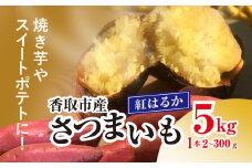 香取市産 さつまいも 紅はるか 約5kg 1本2～300g 焼き芋やスイートポテトにどうぞ KTRW001 / 芋 サツマイモ さつまいも さつま芋 べにはるか ベニハルカ 焼き芋 焼芋 焼いも お芋 おいも いも 生芋