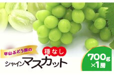 平山ぶどう園のシャインマスカット（種なし）700g × 1房 / KTRBV001 / シャインマスカット マスカット ますかっと 種なし ぶどう ブドウ 葡萄 令和7年発送