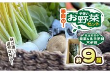 栽培期間中 農薬不使用　季節のお野菜セット KTRCP001 / 野菜 やさい 旬 季節 詰合せ お野菜セット 9品目 3～5人家族用 健康 和楽志 わがくし 千葉県 香取市