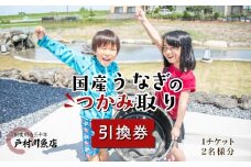 戸村川魚店の国産うなぎのつかみ取り体験チケット / KTRY006 うなぎ 国産うなぎ 鰻 国産鰻 ウナギ 国産ウナギ つかみ取り 体験 チケット うなぎのつかみ取り