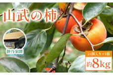 【先行予約2025年10月下旬発送開始】山武の柿 約8kg(24個入り×1箱) 【 ふるさと納税 人気 おすすめ ランキング 柿 かき カキ 果物 フルーツ 秋の味覚 旬の果物 くだもの 千葉県 山武市 送料無料 】SML001