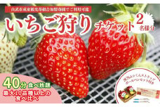 いちご狩りチケット（2名様分）＆SUNムシくんストラップ・ボールペンセット いちご イチゴ 苺 イチゴ狩り いちご狩り体験 チケット 利用券 千葉県 山武市 SMQ001