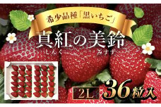 希少品種 黒いちご 真紅の美鈴 2L36粒入り SMAN001