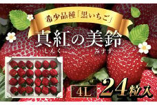 希少品種 黒いちご 真紅の美鈴 4L24粒入り SMAN003