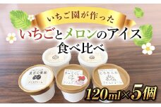【希少品種】いちごとメロンのアイス 食べ比べ5個セット SMAN013
