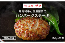黒毛和牛と国産豚肉のハンバーグステーキ 120g×12個 ふるさと納税 ハンバーグ お肉 ステーキ 国産 豚肉 黒毛和牛千葉県 山武市 SMBI001