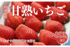 【先行予約2024年12月中旬発送】山武市産 甘熟いちご 800g以上 おすすめの品種をお届け ／ふるさと納税 いちご イチゴ 苺 果物 くだもの フルーツ 旬のくだもの 季節のフルーツ 千葉県 山武市 SMB001