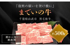 【約500g・肩ロース・焼肉用】山武牛「までいの牛」肩ロース 牛肉 お肉 黒毛和牛 和牛 国産牛 千葉県 山武市 SMAJ009