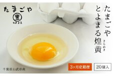 3ヶ月定期便 たまごやとよまる 煌黄20個 たまご 卵 玉子 料理 千葉県 山武市 SMAS004
