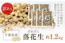 訳あり はねだし落花生 約1.2kg ふるさと納税 落花生 ピーナッツ ナッツ 豆 訳あり 千葉県 山武市 SME006