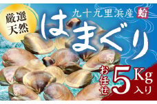九十九里浜産活天然はまぐりサイズお任せ5kg入り SMBB003