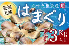 九十九里浜産活天然はまぐりサイズお任せ3kg入り SMBB002
