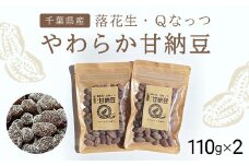 落花生・Ｑなっつのやわらか甘納豆（110ｇ）2個セット／ふるさと納税 甘納豆 豆 甘い 落花生 千葉県 山武市SMAH001