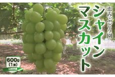 【先行予約2025年8月下旬発送】山武市産　シャインマスカット【 ふるさと納税 人気 おすすめ ランキング シャインマスカット ぶどう 果物 くだもの 千葉県 山武市 送料無料 】SMAP001