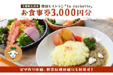 ピザ作り体験、野菜収穫体験にも利用可！ 農園レストラン「Ta cachette」お食事券3,000円分 ／ 体験 チケット 野菜 収獲 ピザ 利用券 千葉県 山武市 SMBP001