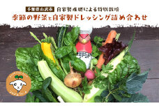 【自家製堆肥による特別栽培】季節の野菜と自家製ドレッシング詰め合わせ ／ 野菜 やさい ドレッシング 自家製  千葉県 山武市 SMBP002