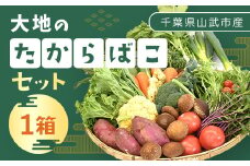 大地のたからばこセット（1箱） SMA002