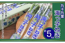 【先行予約】【12月上旬から発送】九十九里の潮風と太平洋の海水で育てたブランドネギ 九十九里海っ子ねぎ 約5kg / ふるさと納税 ねぎ ネギ 葱 千葉県 山武市 SMBQ002