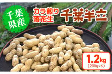 千葉県産 カラ煎り落花生 千葉半立 1.2kg（200g×6） SMF005