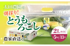【先行予約/2025年6月中旬～6月末発送予定】農家直送!太田農園の朝採り とうもろこし 2L 13本　SMBW003