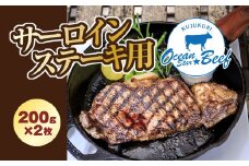 脂と赤身のバランスが最高! ブランド牛 九十九里オーシャンスタービーフ サーロインステーキ用 200g×2枚 / ふるさと納税 肉 牛肉 ブランド牛 オーシャンスタービーフ サーロイン ステーキ 200g 2枚 九十九里 千葉県 山武市 SMCE002