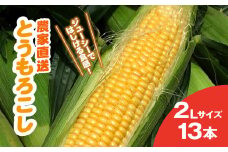★先行予約★【2025年6月上旬～中旬発送予定】地元で8代続く農家から直送! ジューシーではじける食感が特徴! 朝採り とうもろこし 2L 13本／篠原農園 とうもろこし トウモロコシ スイートコーン コーン ゴールドラッシュ ジューシー  フルーティー 朝採り 農家直送 千葉県 千葉県山武市 SMBV001