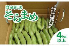 ★先行予約★【2025年5月中旬～下旬発送予定】地元で8代続く農家から直送! 香りとやわらかな歯触りがおいしい初夏の味覚! 篠原農園のそら豆 4kg以上／篠原農園 採りたて そら豆 ソラマメ ポタージュ 天ぷら 農家直送 千葉県 千葉県山武市 SMBV002