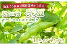 【先行予約】【5月中旬～下旬発送】地元で8代続く農家から直送! 香りとやわらかな歯触りがおいしい初夏の味覚! 篠原農園のそら豆 Lサイズ 4kg以上／篠原農園 採りたて そら豆 ソラマメ ポタージュ 天ぷら 農家直送 千葉県 千葉県山武市 SMBV002