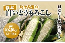 【2025年6月より順次発送！】朝採り!農家直送! 九十九里の極上白いとうもろこし 約5kg（13～16本）／とうもろこし トウモロコシ コーン 白いとうもろこし 味甘ちゃんホワイト 朝採れ 濃厚な甘み 新鮮 農家直送 千葉県 千葉県山武市 SMBU001