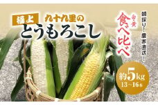 【2025年6月より順次発送！】朝採り!農家直送! 九十九里の極上とうもろこし 白色 黄色 食べ比べ 約5kg（13～16本）／とうもろこし トウモロコシ コーン ゴールドラッシュ ワクワクコーン 白いとうもろこし 味甘ちゃんホワイト 濃厚な甘み 新鮮 農家直送 千葉県 千葉県山武市 SMBU002