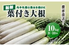 【2025年2月より順次発送！】農家直送! 九十九里の恵みを受けた新鮮葉付き大根 約10kg／大根 だいこん 葉付き大根 葉付きだいこん 新鮮 九十九里浜 おひたし 味噌汁 みそ汁 千葉県 千葉県山武市 SMBU005