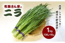 肉厚・シャキシャキ! 朝採れ鮮度抜群! 布施さん家のニラ 1kg(100g×10束)  ふるさと納税 にら ニラ 朝採れ 新鮮 肉厚 シャキシャキ 農家直送 真空包装 鮮度抜群 千葉県 山武市 SMBJ001