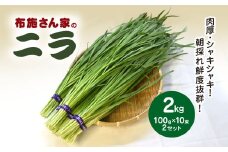 肉厚・シャキシャキ! 朝採れ鮮度抜群! 布施さん家のニラ 2kg(100g×10束×2セット)  ふるさと納税 にら ニラ 朝採れ 新鮮 肉厚 シャキシャキ 農家直送 真空包装 鮮度抜群 千葉県 山武市 SMBJ002