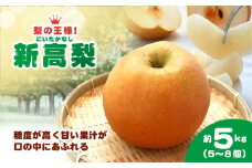 【2025年9月上旬より発送開始予定！】梨の王様 新高梨（にいたかなし） 約5kg（5～8個）　ふるさと納税 フルーツ くだもの 果物 なし ナシ 梨 にいたかなし 新高梨 大玉 高糖度 香り 芳醇 王様 千葉県 山武市 SMCG001