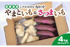 農家直送! 直売所でも大人気! こだわりのいもセット4kg 大和芋2kg＋さつまいも2kg　ふるさと納税 いも 芋 ヤマトイモ 大和芋 さつまいも サツマイモ べにはるか 芋セット 農家直送 千葉県 山武市 SMCH002