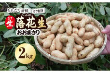★先行予約★【2025年9月上旬より順次発送！】とれたて新鮮! 生落花生 おおまさり 2kg 殻付き／ らっかせい 落花生 生落花 掘り取り 手もぎ 新鮮 おやつ おつまみ お料理 ゆで落花生 ピーナッツ 千葉県 山武市 SMCK001